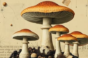 Mushroom Classification and Structure