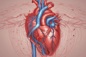 Heart Anatomy and Physiology