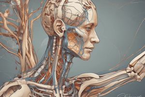 Brachial Plexus Anatomy and Erb's Palsy Quiz