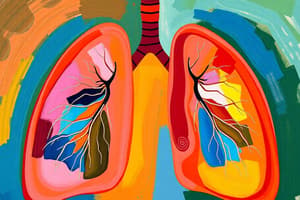 Bio 14.2 Lung Volumes and Capacities