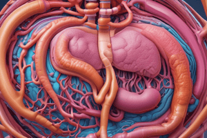 MD124: Gastrointestinal System Abdominal Viscera & Peritoneum Academic Year 2023-2024 Quiz