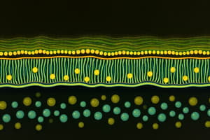 Cell Membrane Structure and Function