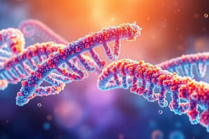 Biology DNA Replication and Protein Synthesis