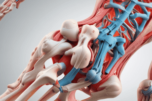 Lecture 3 : Joint Stability