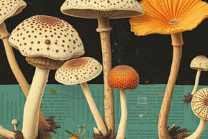 Fungi Kingdom Overview Quiz