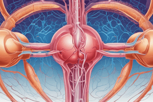 Renal and Urogenital System Diseases: Congenital Anomalies