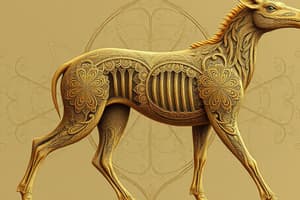 Animal Body Plans and Symmetry