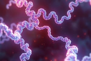 Biochemistry Protein Structure Overview