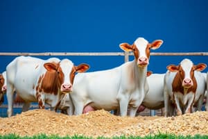 Animal Nutrition: Key Terms