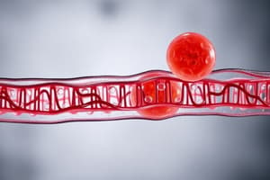 Biology Chapter: Cell Structure and Function