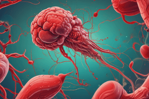 Hemostasis: Stages and Coagulation