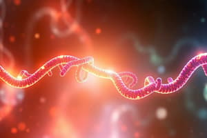 Central Dogma: DNA to RNA to Protein