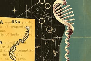 RNA vs DNA: Similarities, Differences and Types