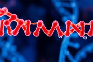 Thymine Dimers and Repair Mechanisms