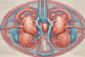 Kidney Physiology Quiz