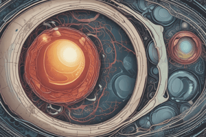 Embryonic Development Week 1-2