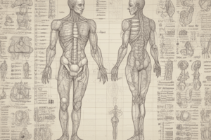 Medical Prefixes and Suffixes Quiz