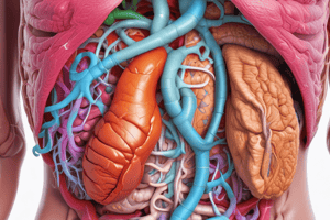 Digestive System Structure and Function Quiz