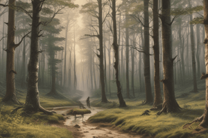 Poem Analysis: The Road Not Taken by Robert Frost