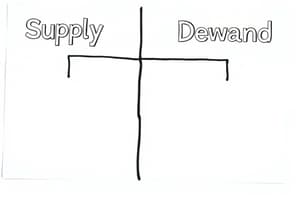 Microeconomics Overview