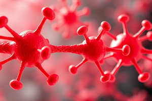 Morphine Mechanism of Action Quiz