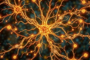 Neurobiology: Nerve Action Potential Overview