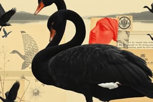 Nassim Taleb - Black Swan I