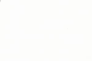 Year 8 German Vocabulary Test