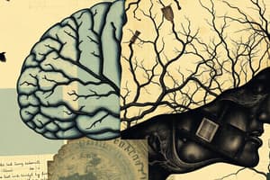 Nervous System Organisation: CNS & PNS