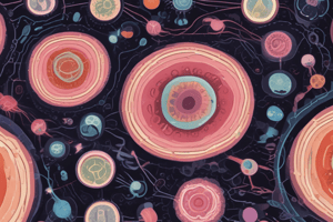 Toxoplasma Gondii Life Cycle