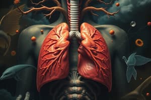 Respiratory System Overview