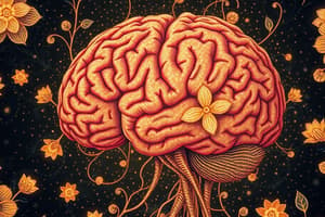 Overview of Neuroscience Concepts