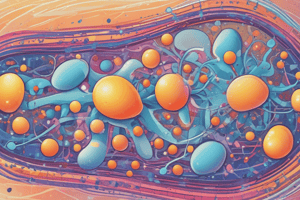 Oxidative Phosphorylation and ATP Synthesis