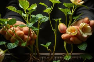 Introduction to Vegetative Propagation