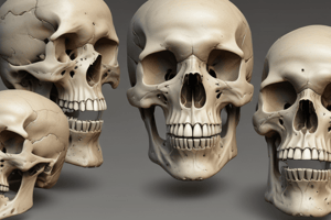 Types of Bone: Compact Bone