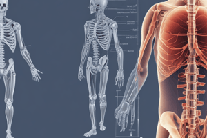 X-ray Imaging Principles and Applications