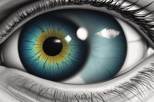 Cornea and Corneal Problems in Optometry