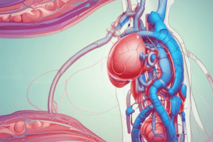 Control of Renal Oxygenation