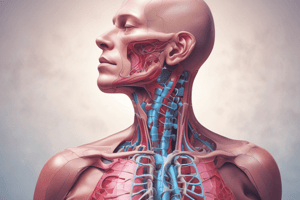 Thyroid Structure and Function: Anatomy and Physiology