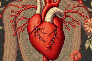 Cardiovascular System Overview