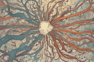 Dopamine Pathways in Schizophrenia