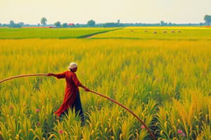 Agriculture in India Overview