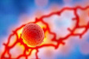 Cell Cycle Overview and Interphase Details