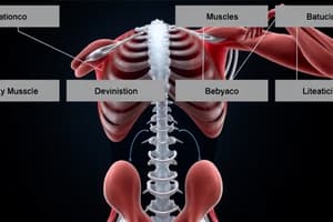 Muscle Types and Properties