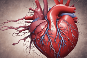 Anatomy. Cardiovascular System.  Quiz 1