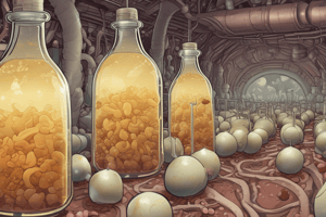 Yeast Fermentation Process