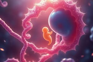 Gene Regulation and Embryonic Development Quiz