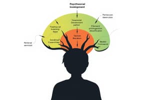 Erikson's Psychosocial Development Stages