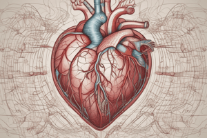 Circulatory System: Heart Structure and Function