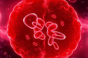 Biologie - Division cellulaire et chromosomes